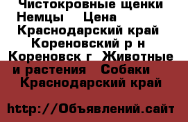 Чистокровные щенки Немцы! › Цена ­ 7 000 - Краснодарский край, Кореновский р-н, Кореновск г. Животные и растения » Собаки   . Краснодарский край